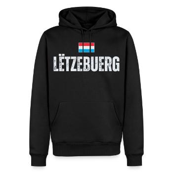 Drapeau du Luxembourg, patriote luxembourgeois - Sweat à capuche Premium bio Homme - noir - Devant - Nico (187cm)