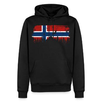 Norwegen Flagge - Urlaub Natur Geschenk - Männer Premium Bio Hoodie - Schwarz - Vorne - Nico (187cm)