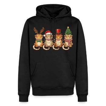 Kronengecko Weihnachtsmann Weihnachtsbeleuchtung - Männer Premium Bio Hoodie - Schwarz - Vorne - Nico (187cm)