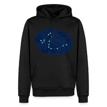 Draco Konstellation - Männer Premium Bio Hoodie - Schwarz - Vorne - Nico (187cm)