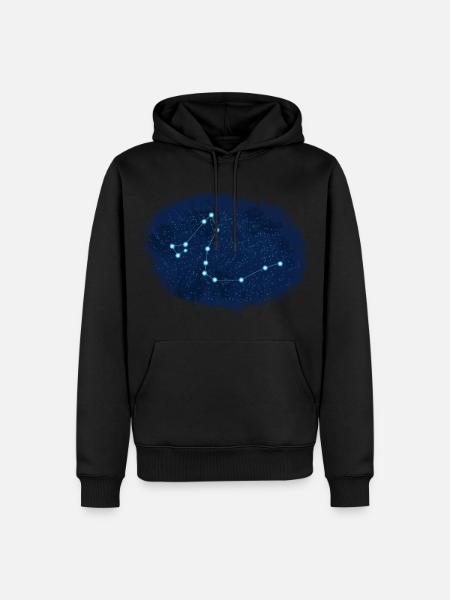 Draco Constellation - Men’s Premium Organic Hoodie - black