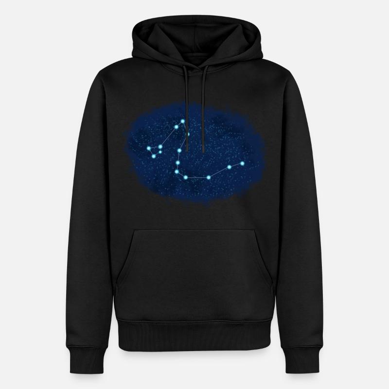 Draco Konstellation - Männer Premium Bio Hoodie - Schwarz