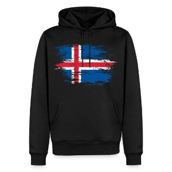 Drapeau islandais utilisé - Sweat à capuche Premium bio Homme - noir - Devant - Nico (187cm)