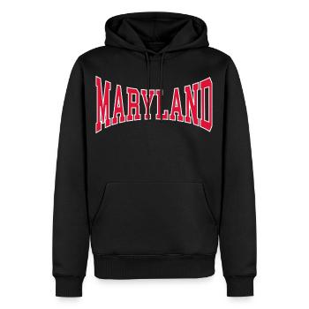 Maryland - Männer Premium Bio Hoodie - Schwarz - Vorne - Nico (187cm)