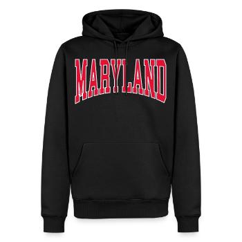 Maryland - Männer Premium Bio Hoodie - Schwarz - Vorne - Nico (187cm)