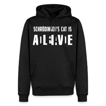 physicist - Men’s Premium Organic Hoodie - black - Front - Nico (187cm)