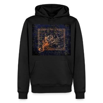 Scorpion - Sweat à capuche Premium bio Homme - noir - Devant - Nico (187cm)