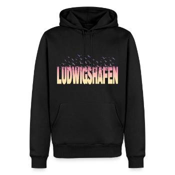 Ludwigshafen Allemagne City Birds Skyline - Sweat à capuche Premium bio Homme - noir - Devant - Nico (187cm)