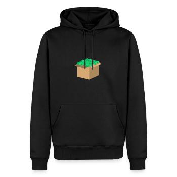 Geld Karton - Männer Premium Bio Hoodie - Schwarz - Vorne - Nico (187cm)