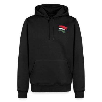 Ungarn - Pinsel Streifen - Männer Premium Bio Hoodie - Schwarz - Vorne - Nico (187cm)