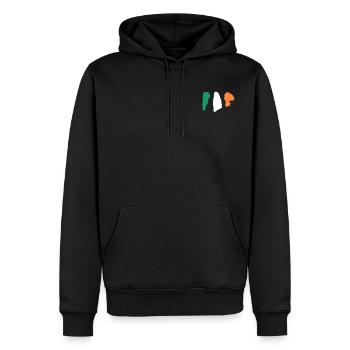 Drapeau de l’Irlande - Rayures en brosse - Sweat à capuche Premium bio Homme - noir - Devant - Nico (187cm)