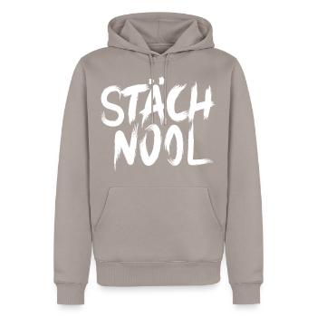 SCHTÄCHNOOL - Männer Premium Bio Hoodie - Taupe - Vorne - Nico (187cm)