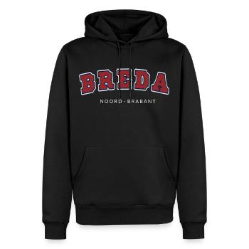 Breda Brabant-Septentrional - Sweat à capuche Premium bio Homme - noir - Devant - Nico (187cm)