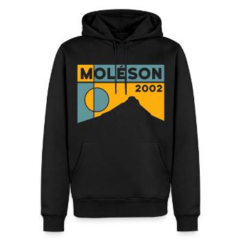 Moléson Wanderung Tour Andenken Souvenir Geschenk - Männer Premium Bio Hoodie - Schwarz - Vorne - Nico (187cm)