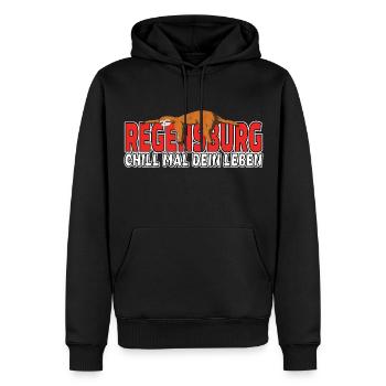 Regensburg chill mal dein Leben Faultier Heimat - Männer Premium Bio Hoodie - Schwarz - Vorne - Nico (187cm)