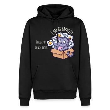 At Capacity – Sensory Overload Cat - Men’s Premium Organic Hoodie - black - Front - Nico (187cm)