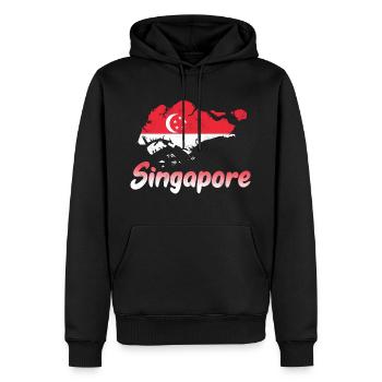 Singapour - Sweat à capuche Premium bio Homme - noir - Devant - Nico (187cm)