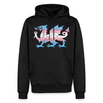 Wales Trans Flagge, Baner Trans Cymru, Transgender - Männer Premium Bio Hoodie - Schwarz - Vorne - Nico (187cm)