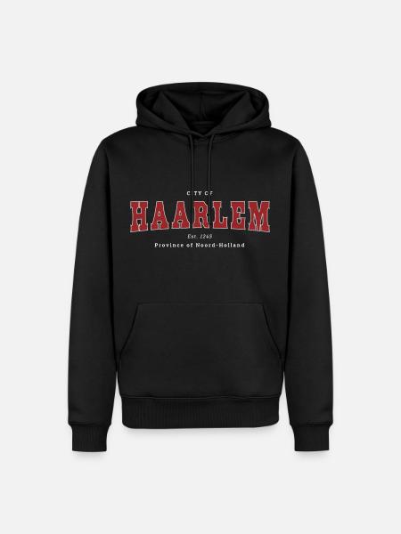 Haarlem - Männer Premium Bio Hoodie - Schwarz