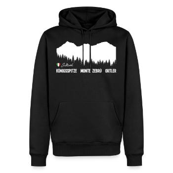 Ortler Monte Zebru Königsspitze South Tyrol Italy - Men’s Premium Organic Hoodie - black - Front - Nico (187cm)