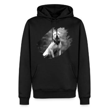 PitBull - Men’s Premium Organic Hoodie - black - Front - Nico (187cm)