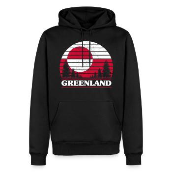 Groenland - Sweat à capuche Premium bio Homme - noir - Devant - Nico (187cm)