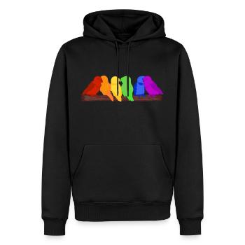 Arc en ciel d’oiseaux - Sweat à capuche Premium bio Homme - noir - Devant - Nico (187cm)