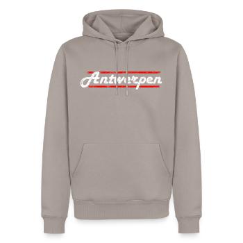Antwerpen - Männer Premium Bio Hoodie - Taupe - Vorne - Nico (187cm)