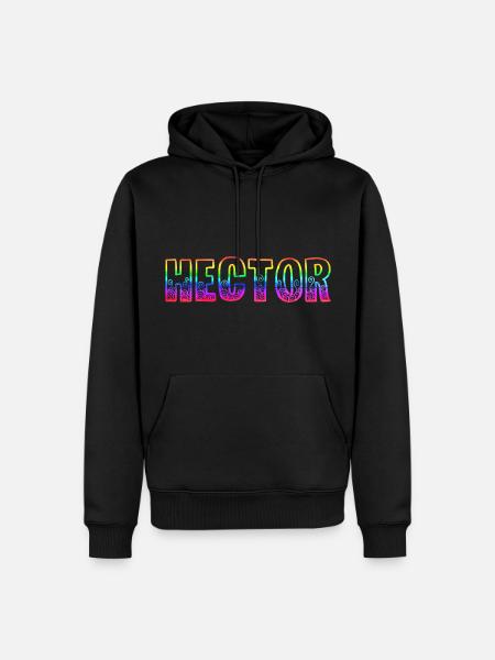hector rs regenbogen - Männer Premium Bio Hoodie - Schwarz