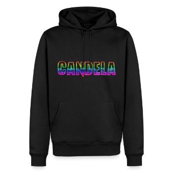 candela rs arc-en-ciel - Sweat à capuche Premium bio Homme - noir - Devant - Nico (187cm)