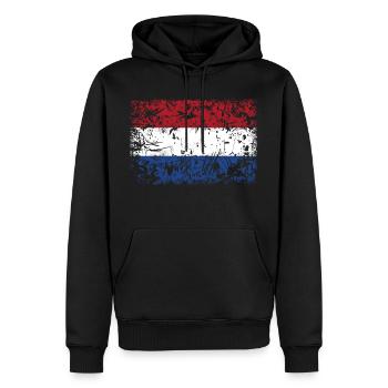 Niederlande Flagge VINTAGE - Männer Premium Bio Hoodie - Schwarz - Vorne - Nico (187cm)