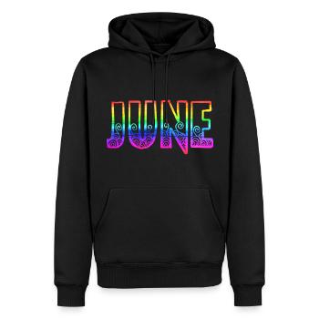 Juin RS Rainbow - Sweat à capuche Premium bio Homme - noir - Devant - Nico (187cm)