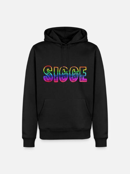 sigge rs rainbow - Men’s Premium Organic Hoodie - black