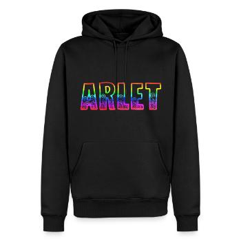 arlet rs arc-en-ciel - Sweat à capuche Premium bio Homme - noir - Devant - Nico (187cm)