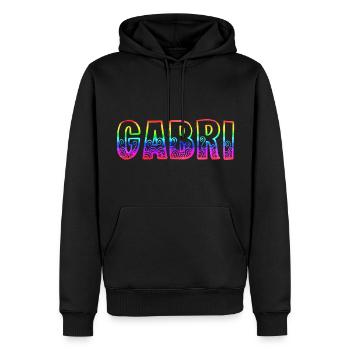 Gabriel RS Arc-en-ciel - Sweat à capuche Premium bio Homme - noir - Devant - Nico (187cm)