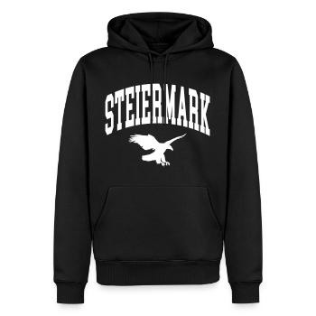 Steiermark - Männer Premium Bio Hoodie - Schwarz - Vorne - Nico (187cm)
