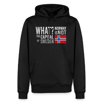 La Norvège n'est pas la capitale de la Suède - Sweat à capuche Premium bio Homme - noir - Devant - Nico (187cm)