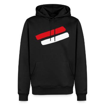 Salzbourg / Vienne / Vorarlberg - Style Stripes - Sweat à capuche Premium bio Homme - noir - Devant - Nico (187cm)