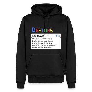 Bretons Idée Cadeau Humour Bretagne - Sweat à capuche Premium bio Homme - noir - Devant - Nico (187cm)