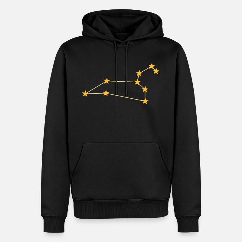 Constellation Leo - Sweat à capuche Premium bio Homme - noir