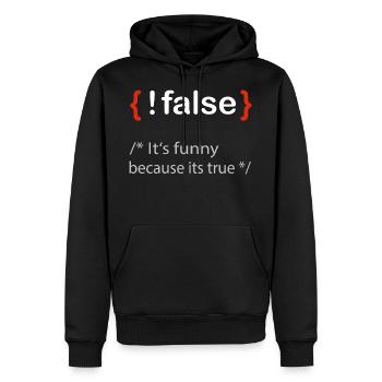 Programmierer false true Informatiker Student - Männer Premium Bio Hoodie - Schwarz - Vorne - Nico (187cm)