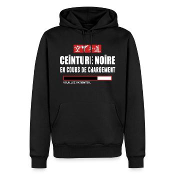 Karate - ceinture noire - Sweat à capuche Premium bio Homme - noir - Devant - Nico (187cm)
