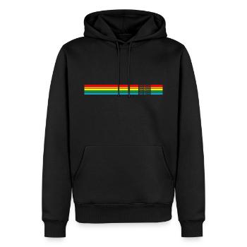 Régenbogen arc-en-ciel - Sweat à capuche Premium bio Homme - noir - Devant - Nico (187cm)