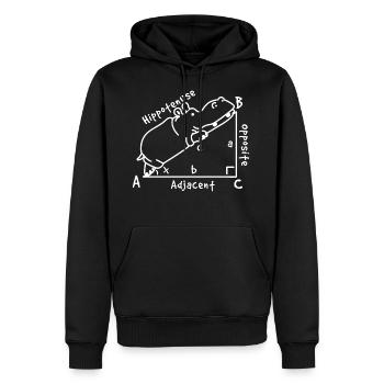 Mathe Dreieck Geometrie - Männer Premium Bio Hoodie - Schwarz - Vorne - Nico (187cm)