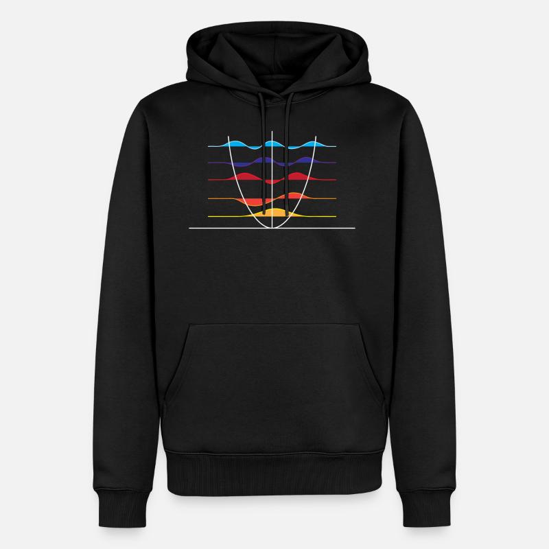 Superposition d'onde physique - Sweat à capuche Premium bio Homme - noir