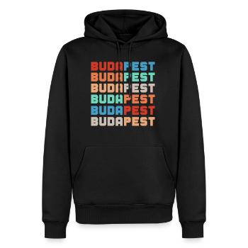 Budapest - Männer Premium Bio Hoodie - Schwarz - Vorne - Nico (187cm)