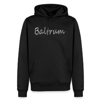 BALTRUM l'île! idée cadeau - Sweat à capuche Premium bio Homme - noir - Devant - Nico (187cm)