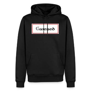 Gwened Vannes - Männer Premium Bio Hoodie - Schwarz - Vorne - Nico (187cm)