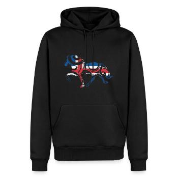 Töltende Islandais avec drapeau islandais - Sweat à capuche Premium bio Homme - noir - Devant - Nico (187cm)