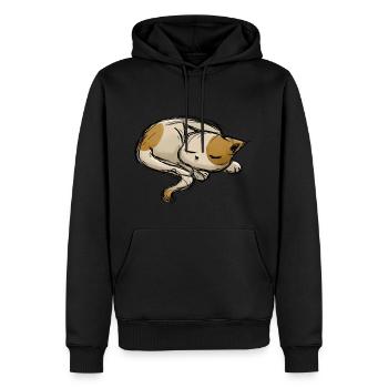 Dessin de coup de chat de sommeil - Sweat à capuche Premium bio Homme - noir - Devant - Nico (187cm)